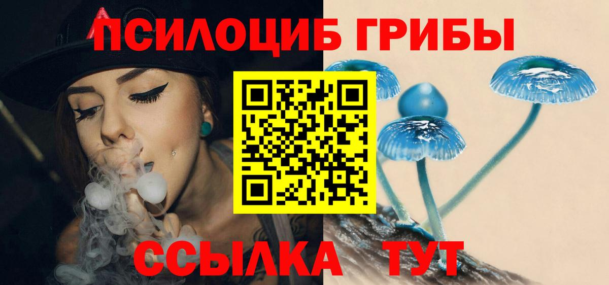 Заринск  Галлюциногенные грибы ЛСД  Вход с VPN  Псилоцибиновые грибы Magic Shrooms 